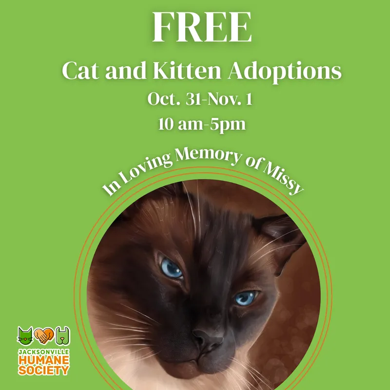 Flyer for Free Cat and Kitten Adoptions in Honor of Missy