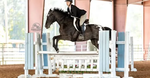 Flyer for Florida All Breed Horse Show Series