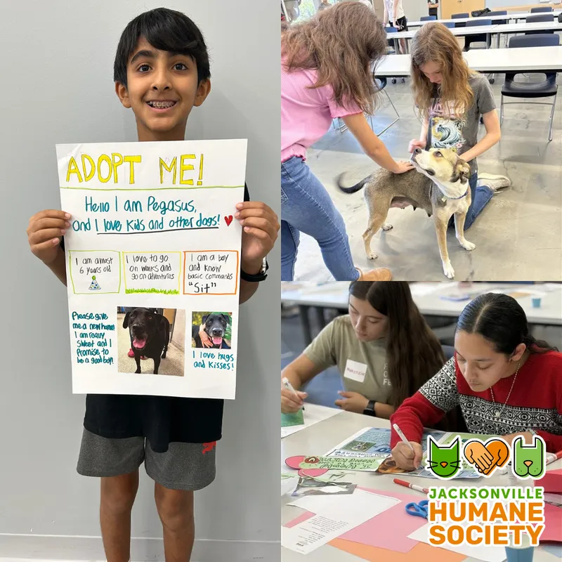 Flyer for Middle School Service Day