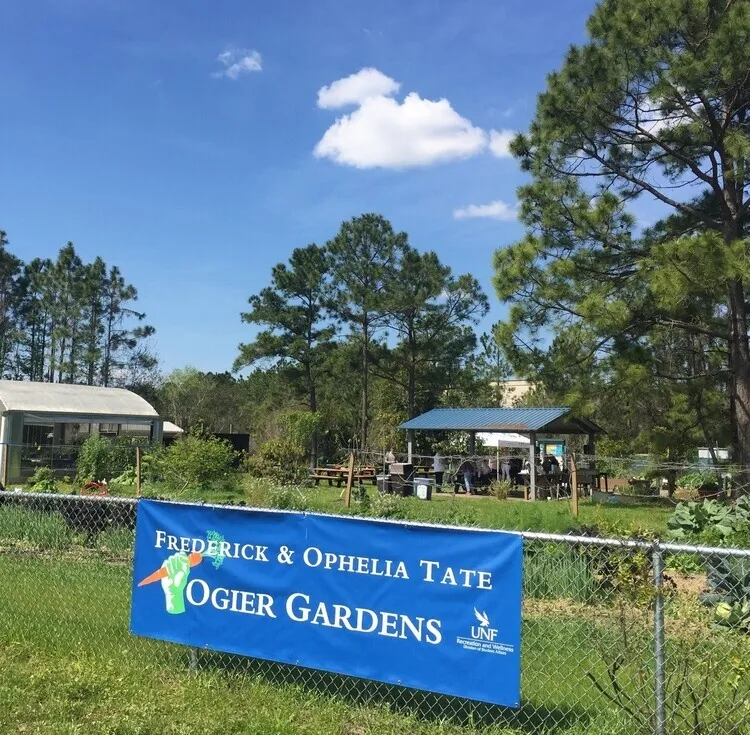 Flyer for Yoga and Sound Bath in the Gardens