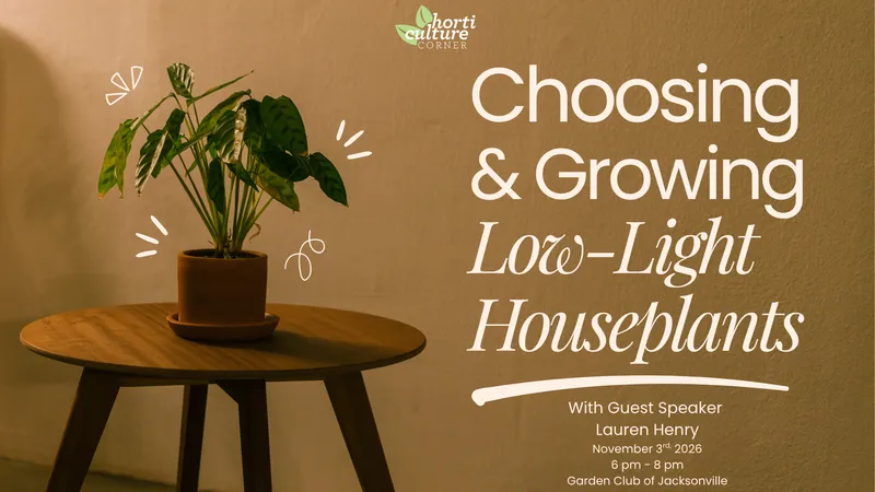 Flyer for Horticulture Corner: Choosing and Growing Low-light Houseplants