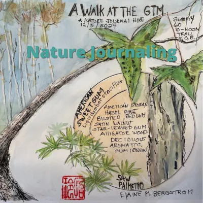 Flyer for Nature Journaling