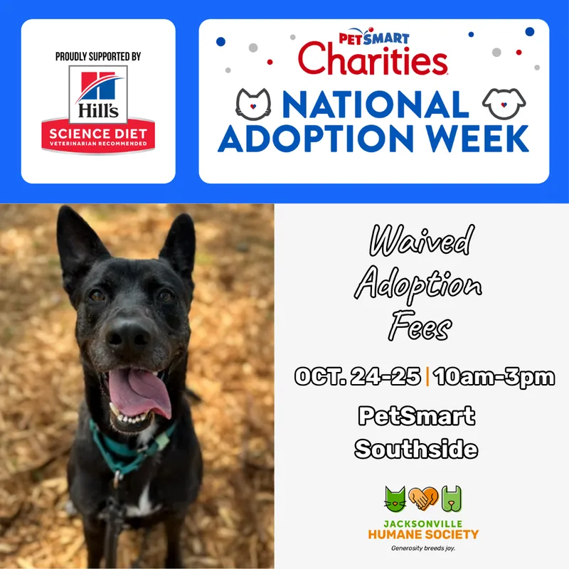 Flyer for PetSmart Charities National Adoption Week