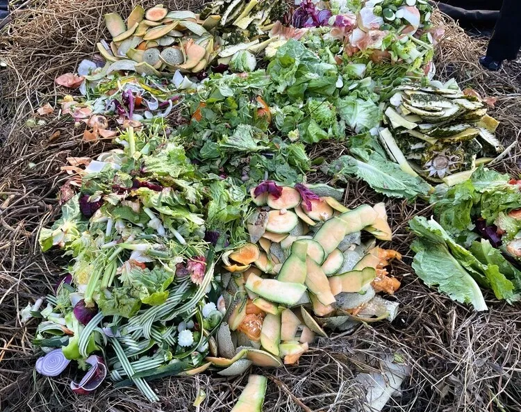 Flyer for Compost 101