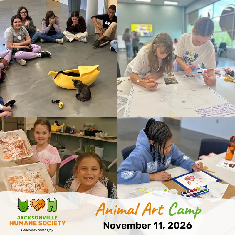 Flyer for Animal Art Camp for Grades 3-8