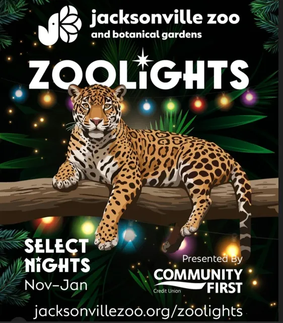 Flyer for ZOOLights
