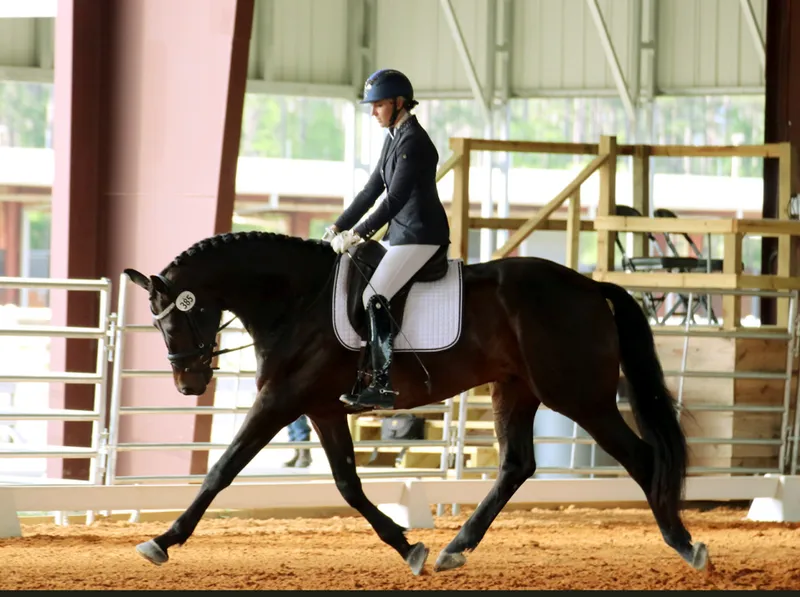 Flyer for NFDA Dressage Schooling Show