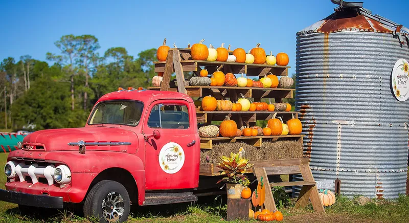 Flyer for Amazing Grace Farms Pumpkin Festival