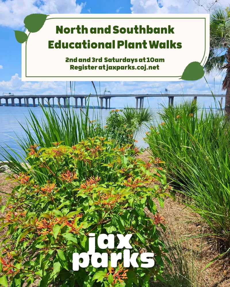 Flyer for North and Southbank Educational Plant Walks