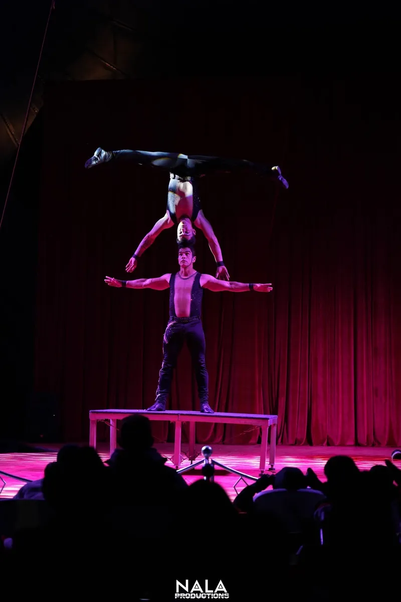 Flyer for Cirque du Luxe