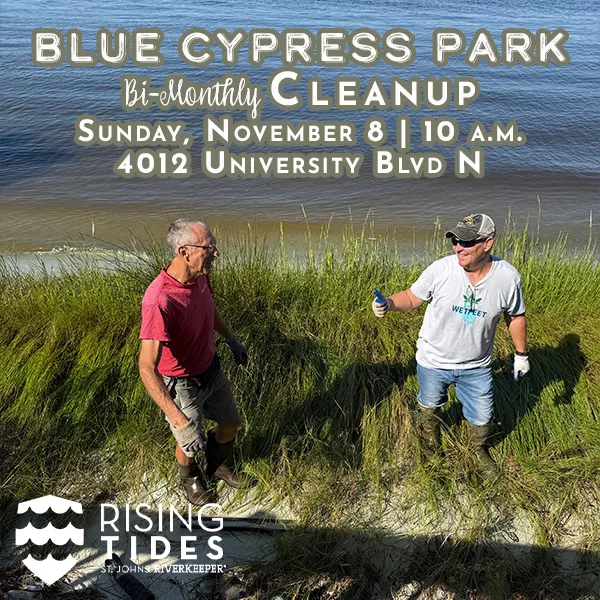 Flyer for Blue Cypress Park Cleanup with Rising Tides