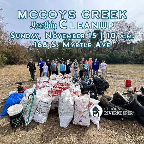 Flyer for McCoys Creek Cleanup