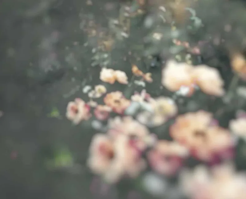Flyer for Ashley Woodson Bailey: What Remains