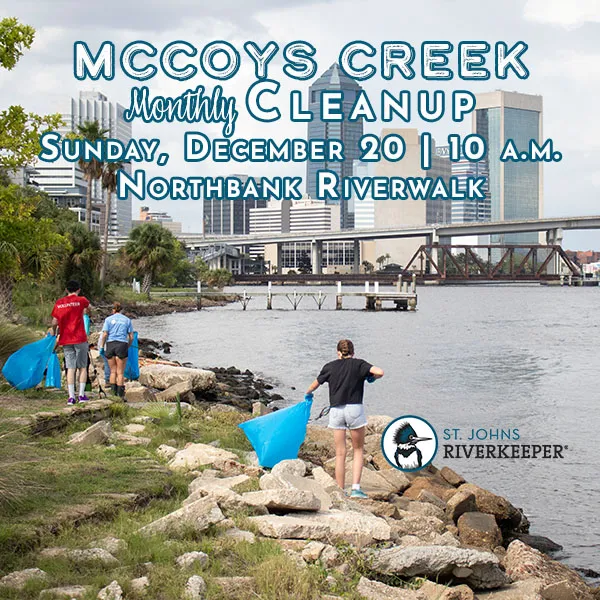 Flyer for McCoys Creek Cleanup