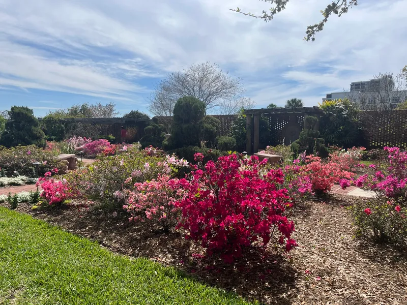 Flyer for Pruning for Healthy, Beautiful Gardens
