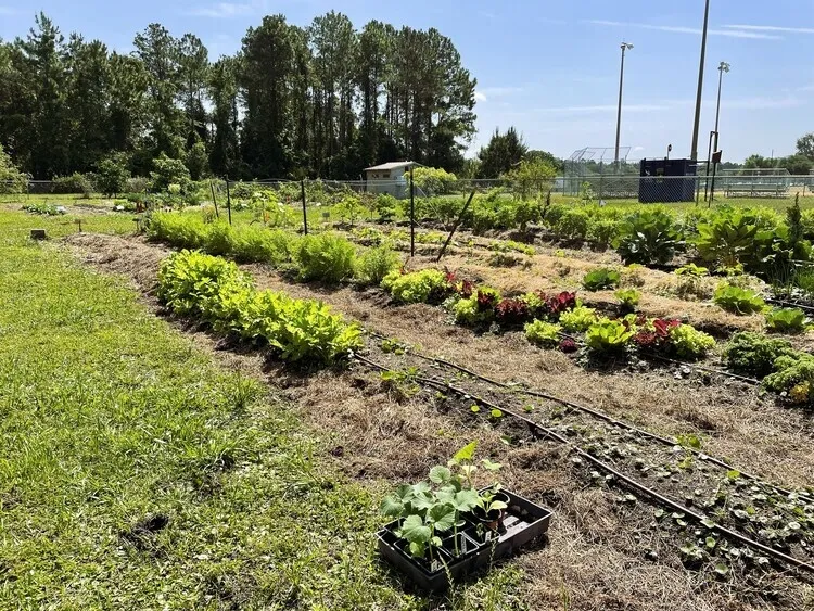 Flyer for Intro to Organic Gardening
