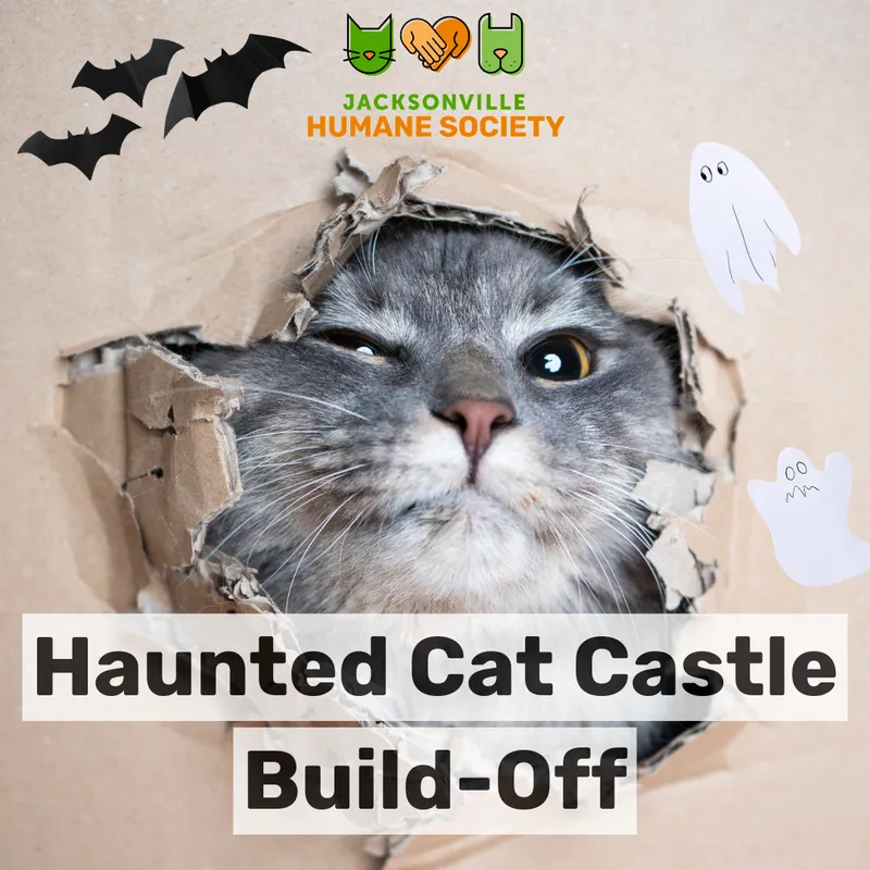 Flyer for Adult Whisker Workshop: Haunted Cat Castle Build-Off