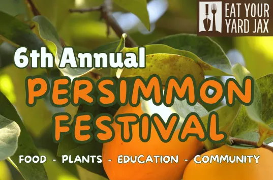 Flyer for 6th Annual Persimmon Festival